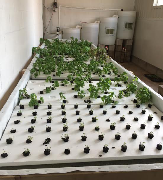 NOA Fisheries Demo Aquaponic System