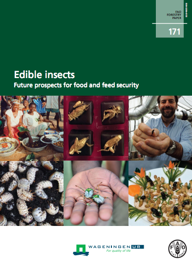 FAO Report_Edible Insects
