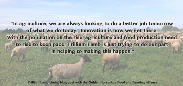 Trillium Lamb quote